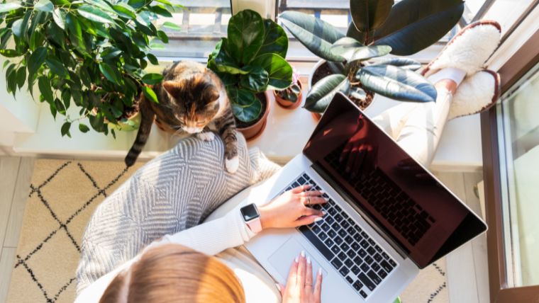 How-To-Handle-Depression-at-Work-8-Practical-Strategies-for-a-Rewarding-Career A person working from home with a laptop and a cat | How To Handle Depression at Work: 8 Practical Strategies for a Rewarding Career | Mindful Health Solutions
