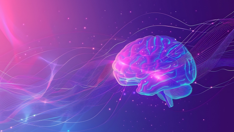 Getting More Better More Faster The Potential of Accelerated Deep TMS Translucent illustrated brain with a pink and purple background | Getting More Better More Faster The Potential of Accelerated Deep TMS | Mindful Health Solutions