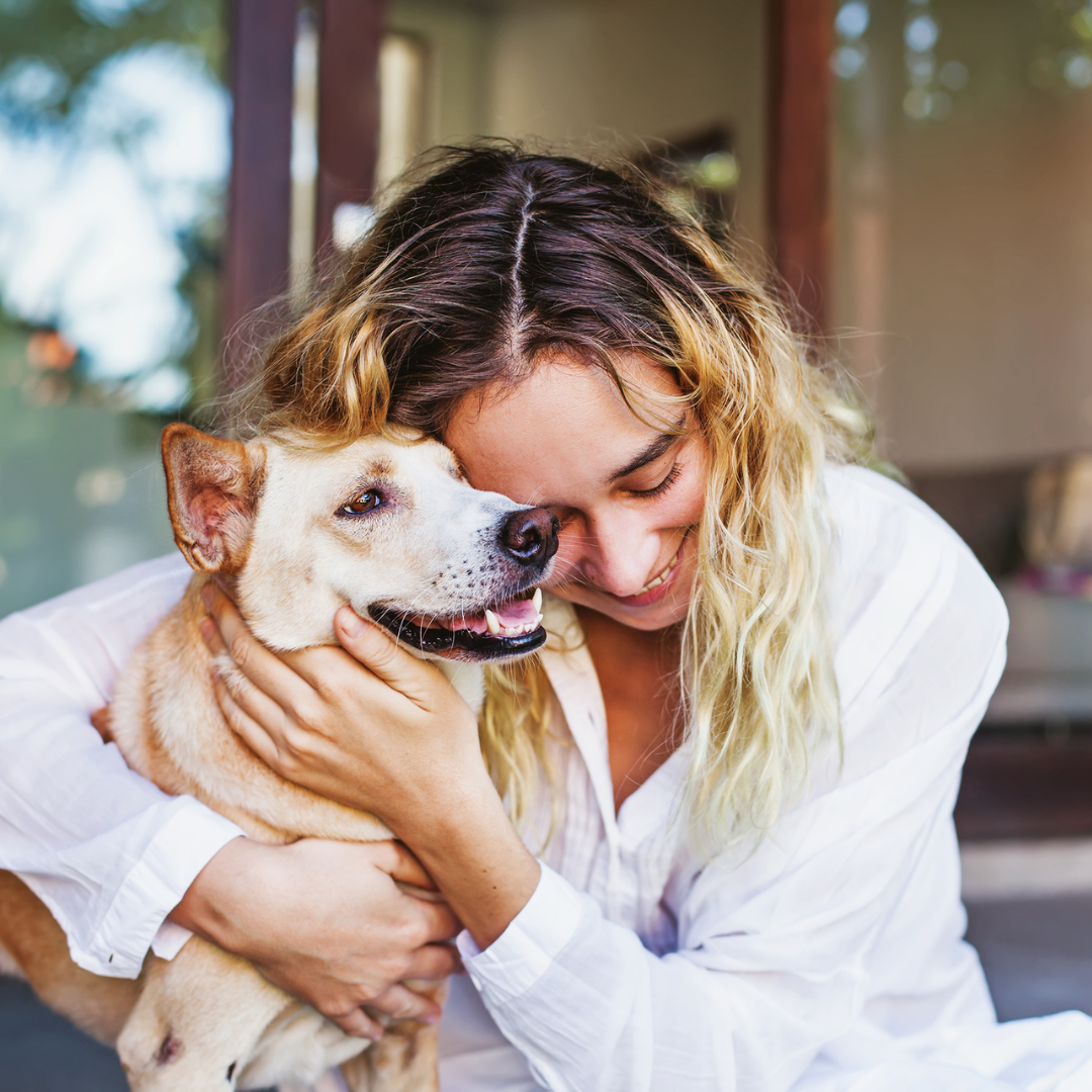 4.11.25 Pet blog image